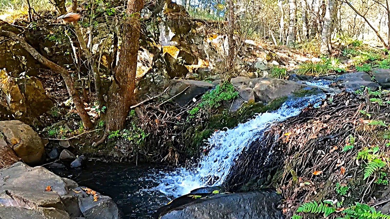 Caída de Agua Natural 💧 30 Minutos para Relajarte | Natural Water Sounds 30 Minutes
