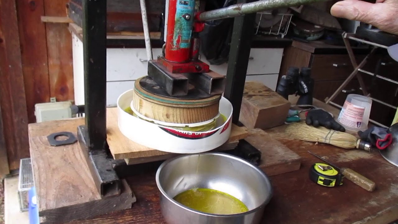 自製冷壓初搾橄欖油 6 個步驟 Homemade cold press olive oil 6 steps