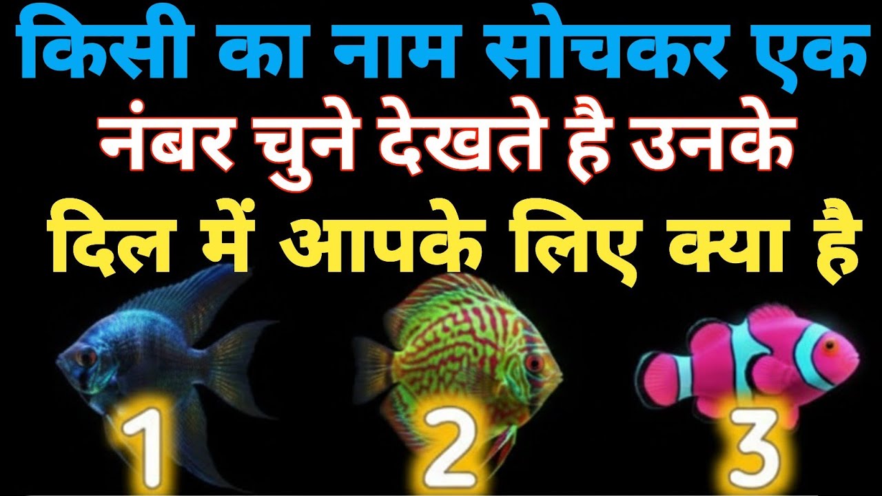 वह आपके बारे में क्या सोचते हैं? Pick a Number | Tarot Reading Hindi