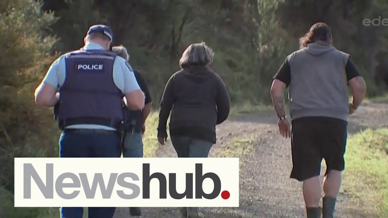 Two of three dogs found following fatal 'pack attack' in Northland | Newshub