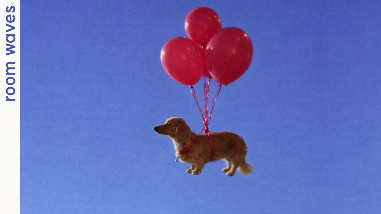 gone with the wind