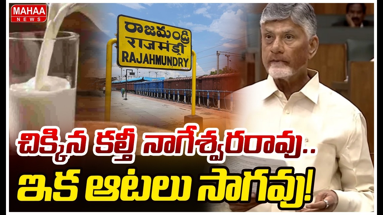 చిక్కిన 'కల్తీ' నాగేశ్వరరావు.. ఇక ఆటలు సాగవు! | Mahaa News