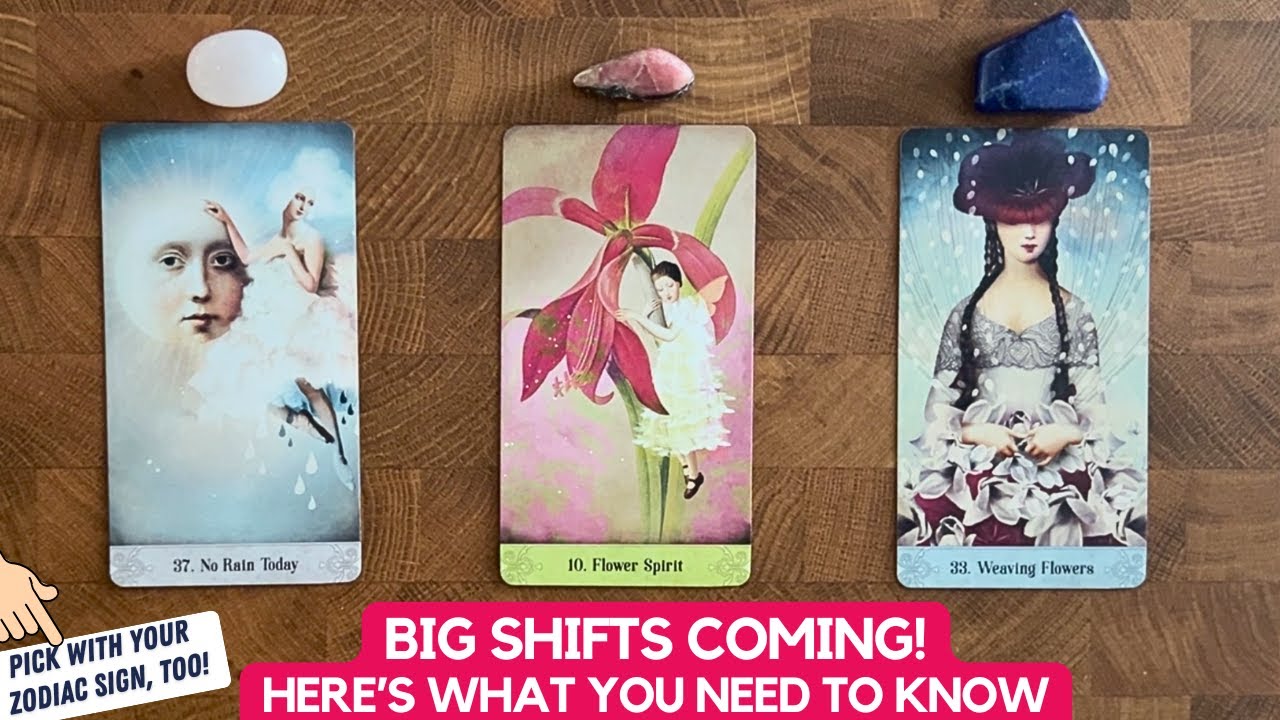 Life Update From The Universe: What's Going On And What's Next! | Timeless Reading