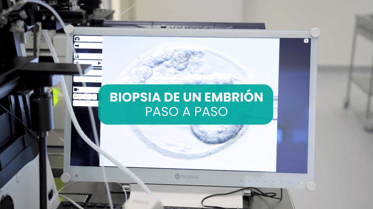 Este es el proceso de biopsia de un embrión. Paso a paso | Dra. Sara Corral