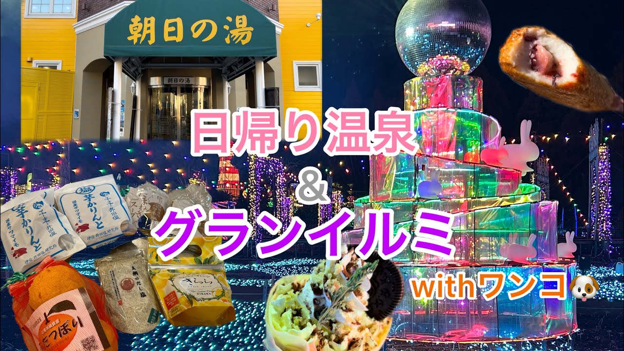 日帰り温泉&グランイルミ！！ワンコ連れにお勧めの伊豆エリア旅【後編】#伊豆#グランイルミ