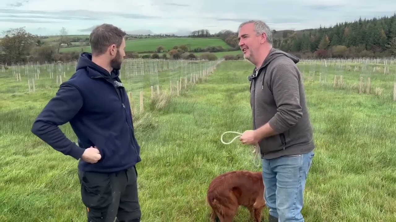 Glyn Egan (aka Sheep Shepherd) talks agroforestry with a forester and organic farmer