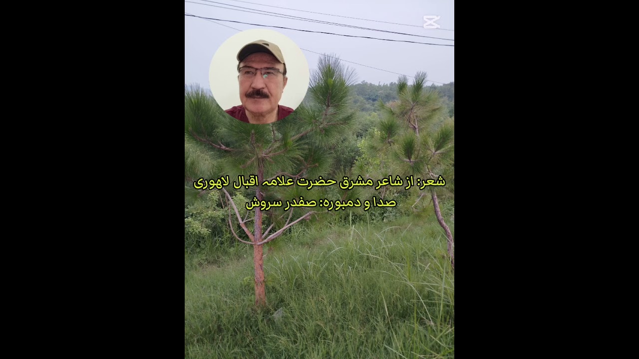 بہ فغان نہ لب گشودم کہ فغان اثر ندارد 