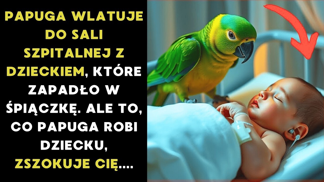 PAPUGA WLECIAŁA DO SALI SZPITALNEJ Z CHORYM DZIECKIEM  ALE TO, CO ZROBIŁ DZIECKU, ZSZOKUJE CIĘ