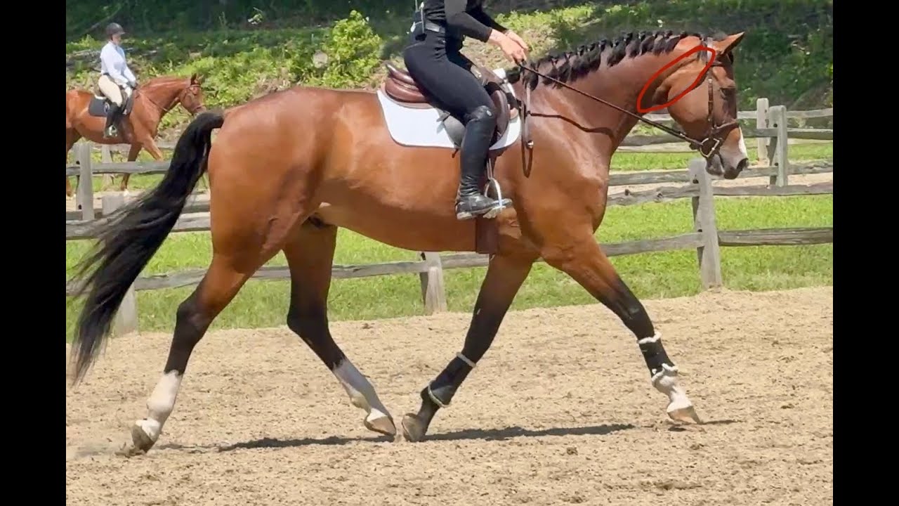 Taking Positive Reinforcement Under Saddle with Focus on Relaxation