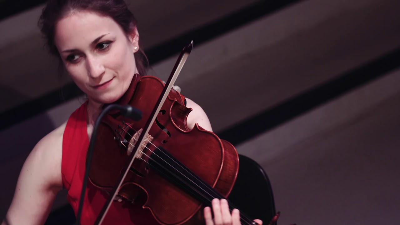Feldmann/Schwamm/Pelz: J.S. Bach - Goldberg Variations 4/5/6 @ Moon Sessions [take 1]