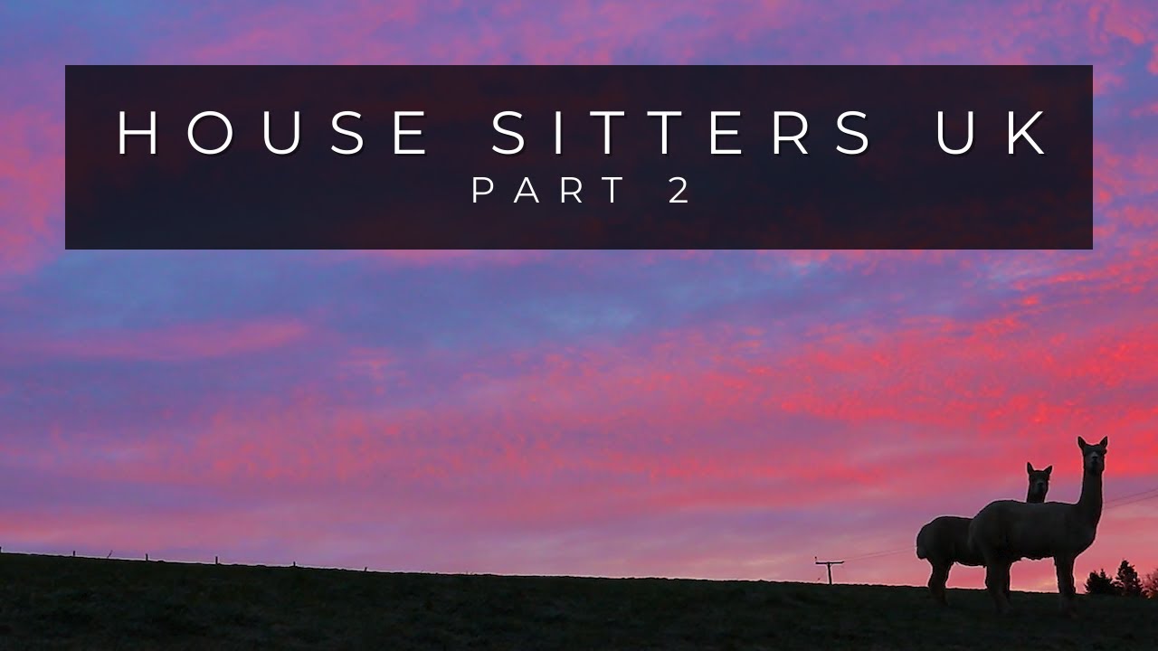 House Sitters UK / Campervan Travels / EP 2 - Making New Friends