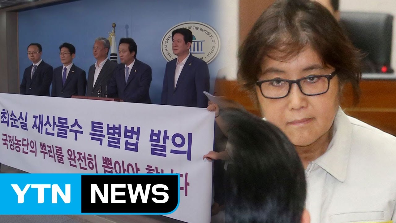[뉴스앤이슈] 안갯속 최순실 재산몰수 특별법...