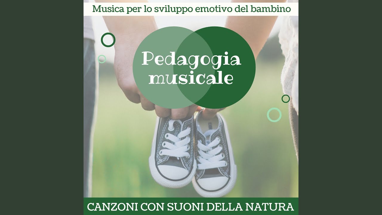 Pedagogia musicale