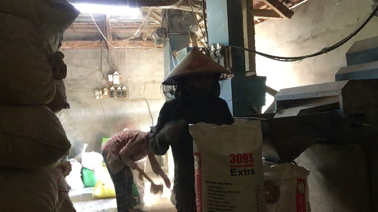 thử thách 1 hôm xay gạo