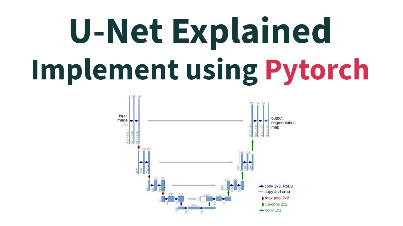 U-Net Explained: Architecture Insights and Practical PyTorch Implementation