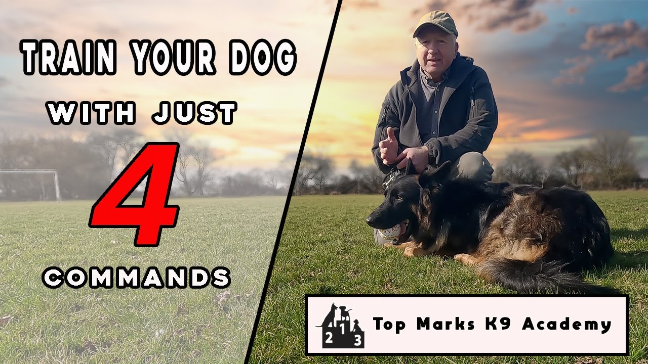 Dog training - simple hand commands can save your dog's life