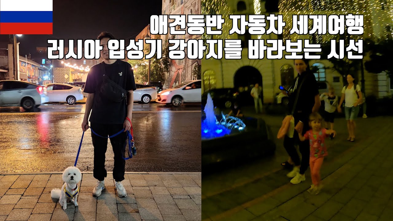 🇷🇺 블라디보스토크 입성기 강아지를 바라보는 시선 러시아 여행 Vladivostok / 스타렉스 캠핑카 / 강아지 해외여행 / 유라시아 횡단 [001]