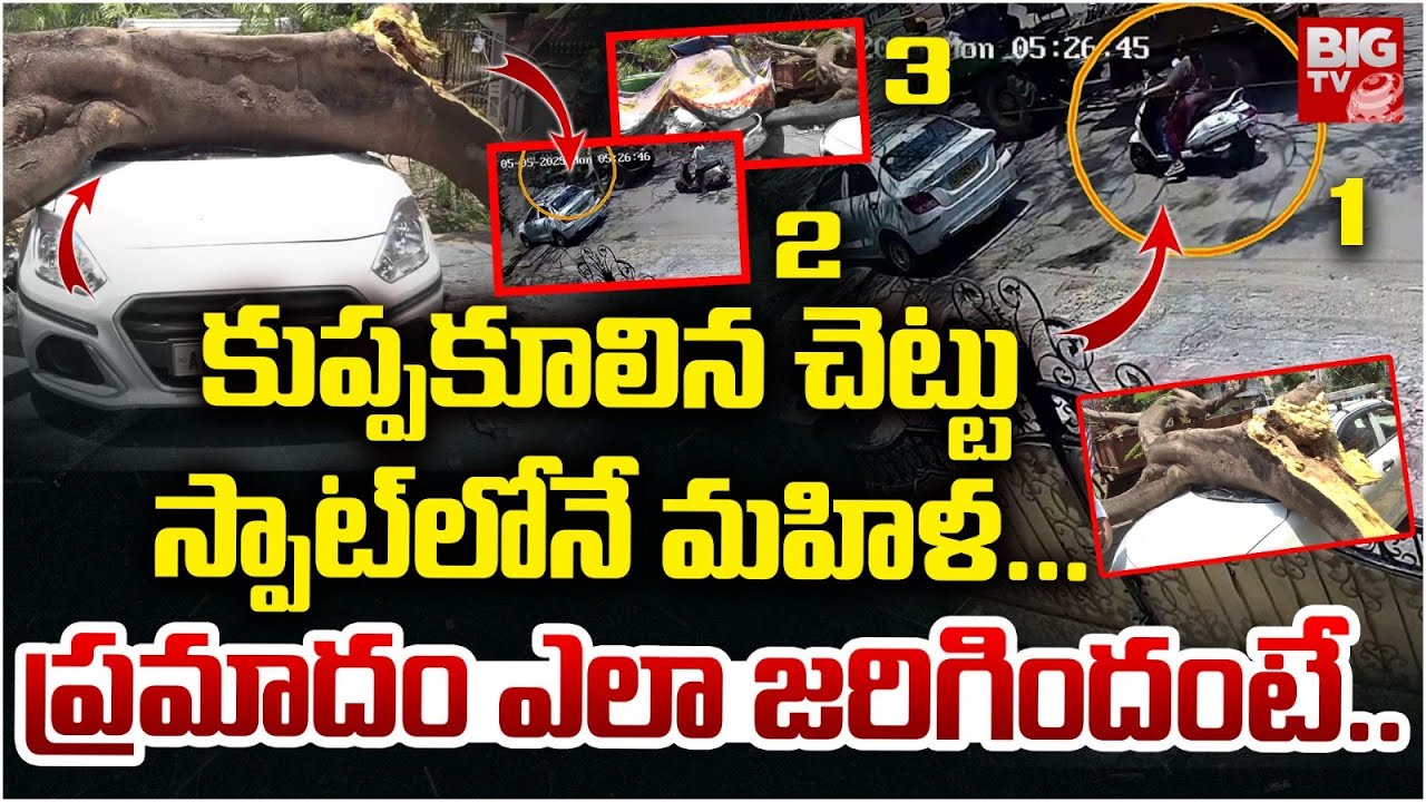 Vizag Seethammadhara Scooty Woman incident | కుప్ప&zwnj;కూలిన చెట్టు స్పాట్&zwnj;లోనే మ&zwnj;హిళ&zwnj;... | BIG TV