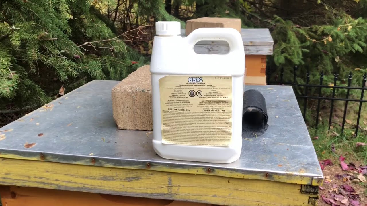 Treating honey  bees for Varroa mites with formic acid