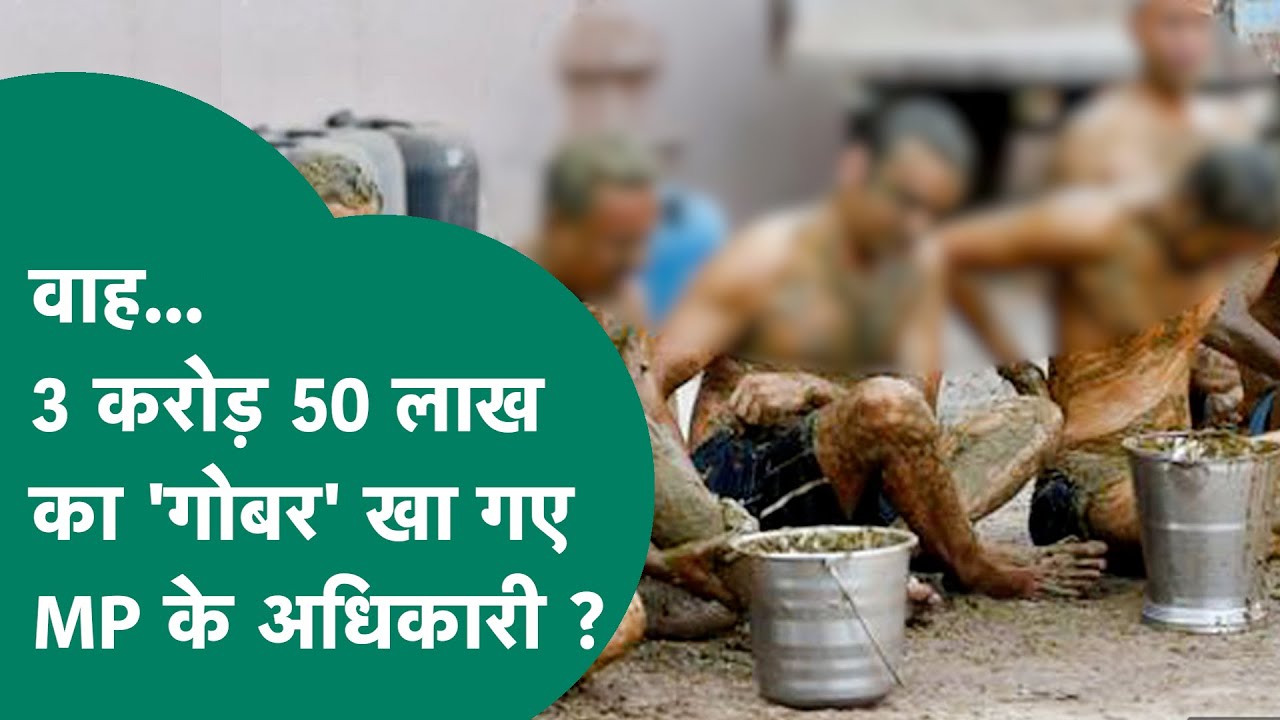 MP में कैंसर के लिए गोबर-गौमूत्र से रिसर्च कर रह थे सरकारी अधिकारी, 3 करोड़ 50 लाख का गोबर डकार गए ?