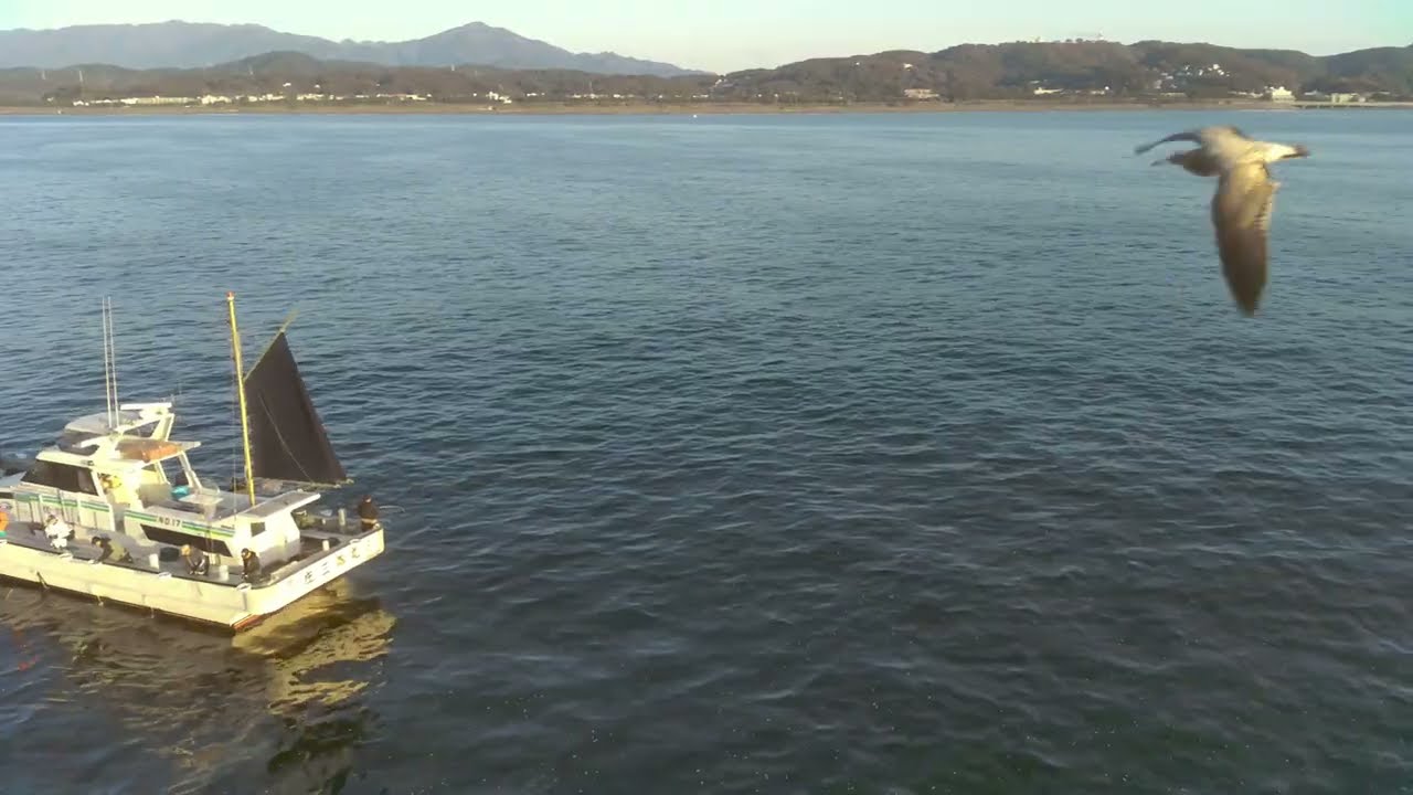 FIMI X8 2022 v 1 Seaside flights with new ShotCut grading parameters – Feb 1
