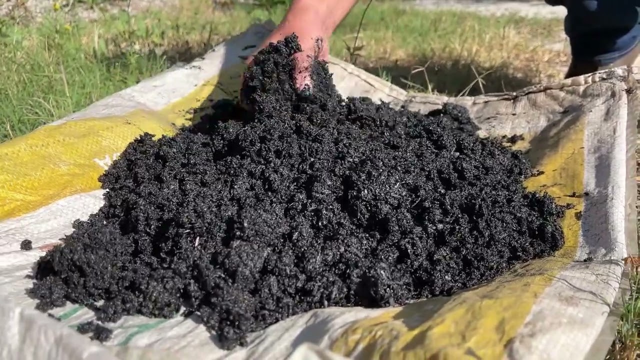 El biocarbón para una agricultura sostenible