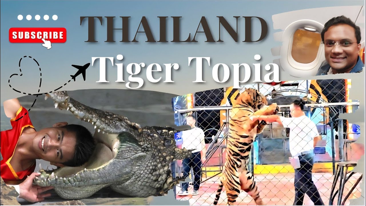Tiger Topia Thailand Bangkok Pattya | Budget Trip to Thailand Places to visit in Thailand 