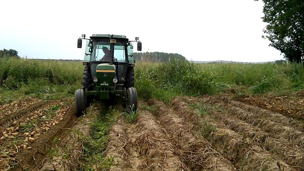 εξαγωγη πατατας Φυλακιο 2014 / potato harvest