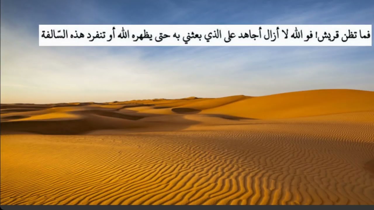 Mentorship Program - Week 5 - Activism