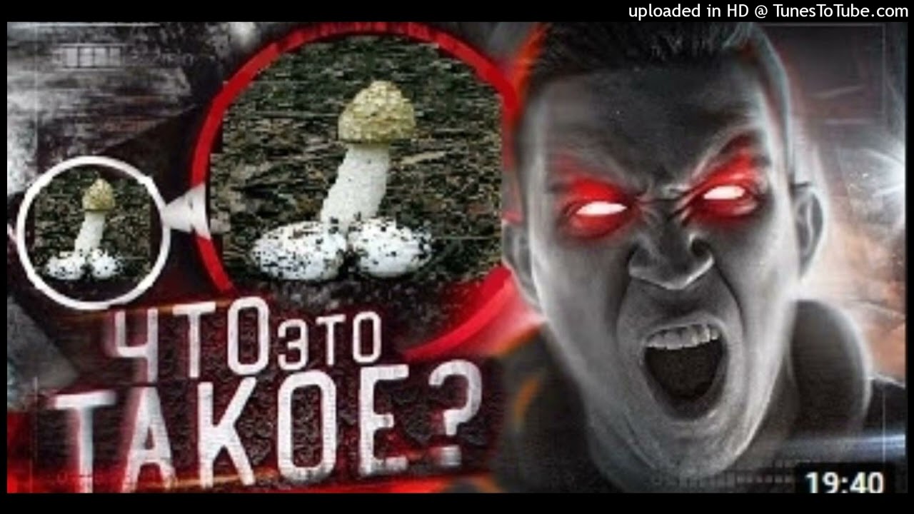 evilplugg + dark plugg type beat prod. @plowgod + testiklez