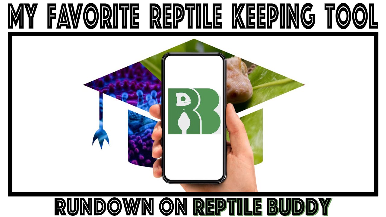 Reptile Buddy - A GREAT REPTILE KEEPING TOOL IS IN YOUR POCKET