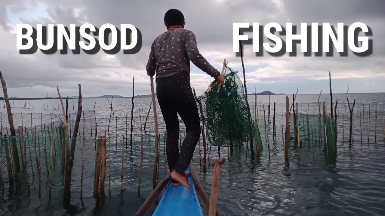 BUNSOD 2 | FISH TRAPPED Mabini, Bohol, Philippines 🇵🇭 .
