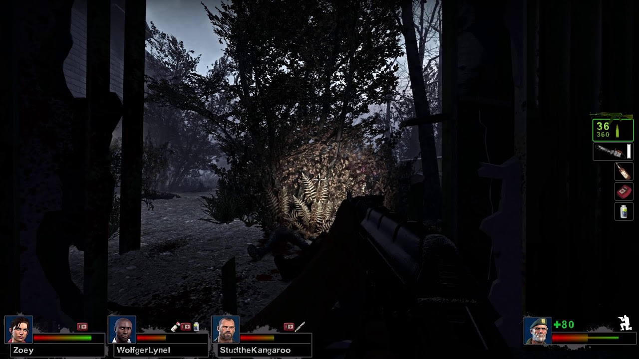 L4D2: Less Nonsense