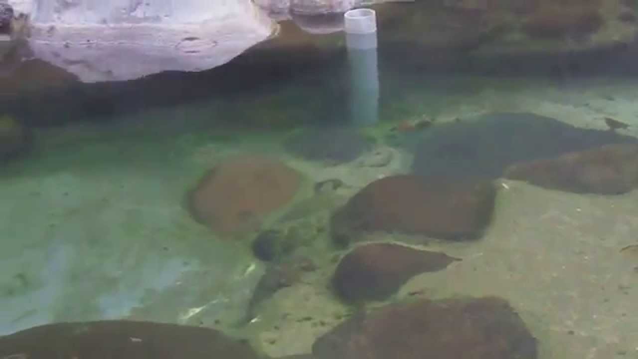 御宿かわせみ   北湯沢温泉