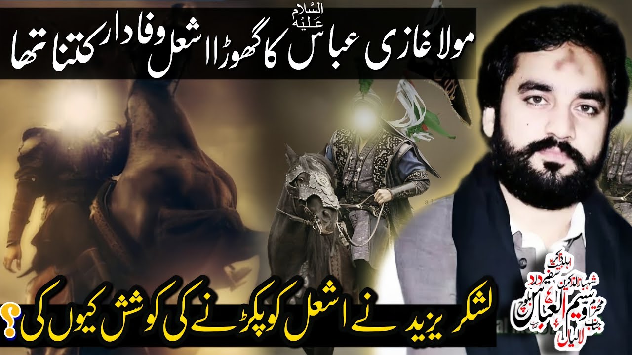 Mola Gazi Abbas (as) Ka Ghora Ashal Wafadar Kitna Tha | Zakir Sardar Waseem Abbas Baloch | Majlis |