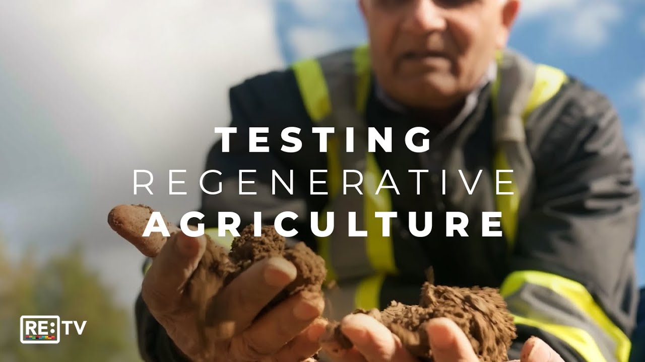 Farm of the Future: How McCain is Increasing Yields and Reducing Emissions