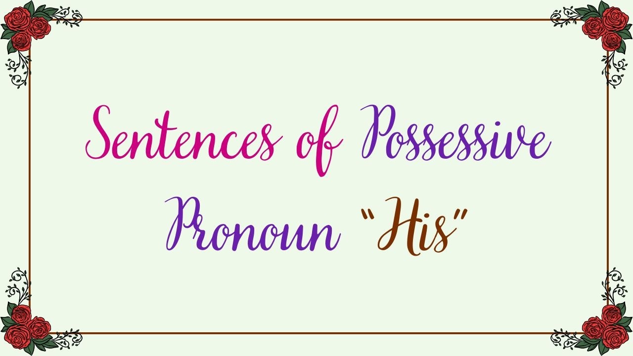 Sentences of Possessive Pronoun 