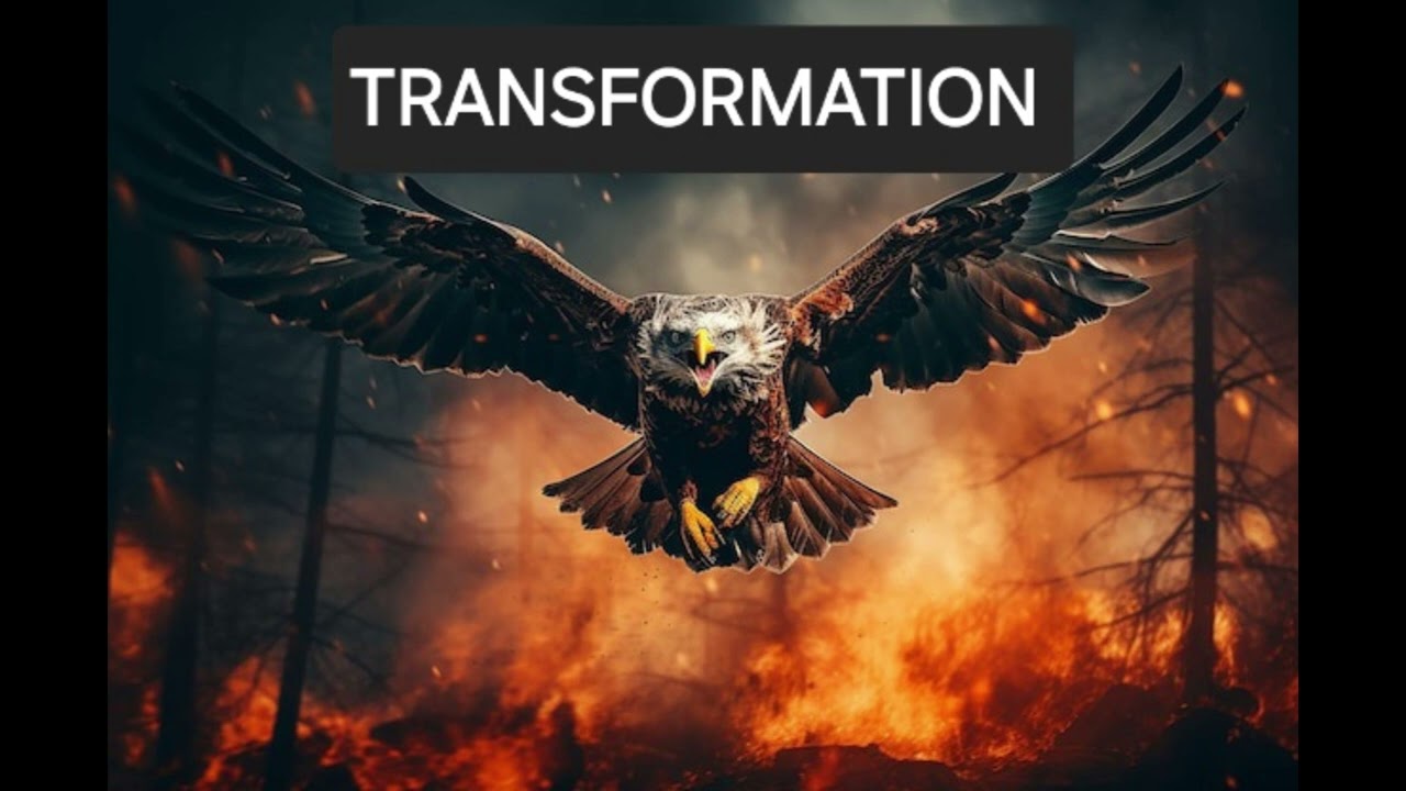 TRANSFORMATION-TWIN HERO-(Prod by Lofi Chill Hip Hop Beat)