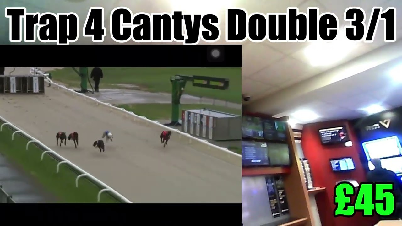 Betting Some Greyhound Races ££
