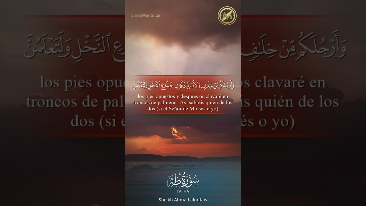 020 | Taa, Haa (Spanish) | Sheikh Ahmad Alnufais