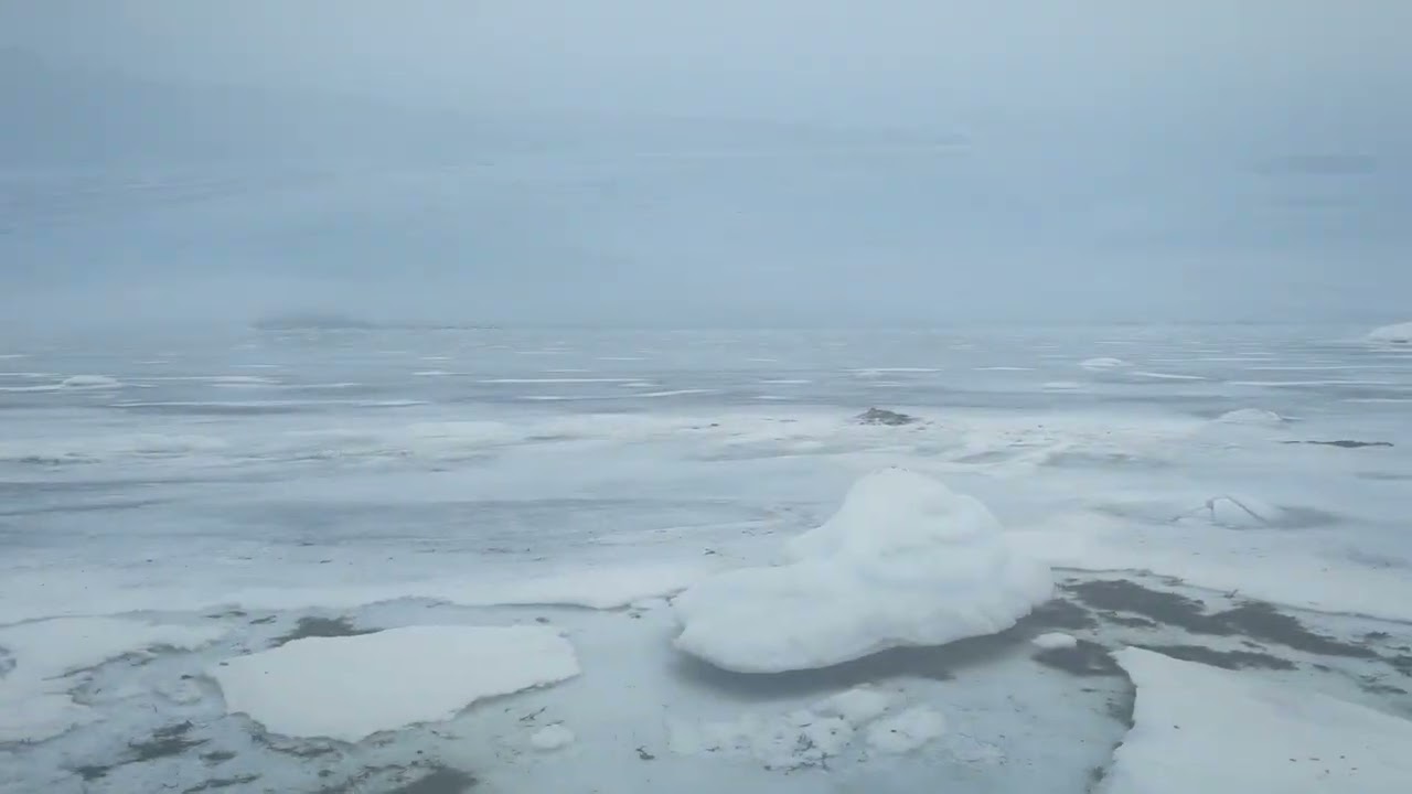 28.2.2026 Hanko