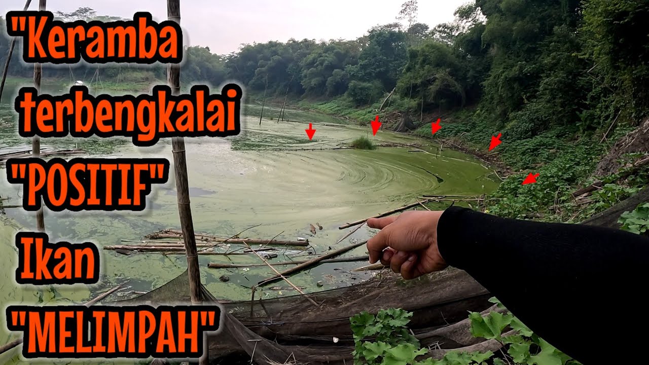 NEMU SPOT BEKAS KERAMBA ‼️ YAKIN 100% IKAN MELIMPAH || Mancing ikan red devil NAHOL MANIA