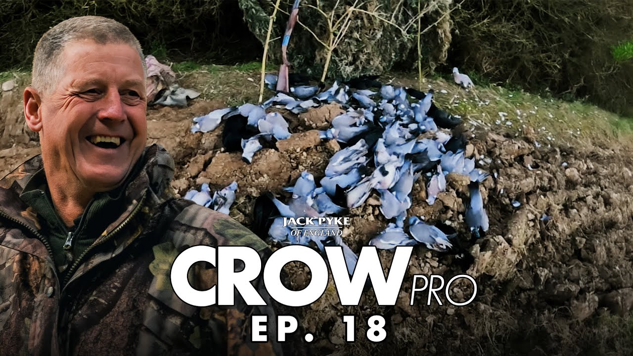 Новое ружьё, большой мешок — Энди Кроу стреляет голубей из нового CROWpro EP.18 | Fieldsports | С...