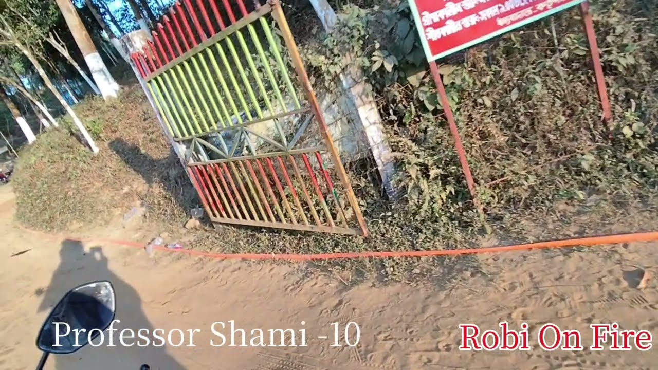 প্রফেসর স্বামী গল্প  (Part-10) Professor Shami। Robi On Fire