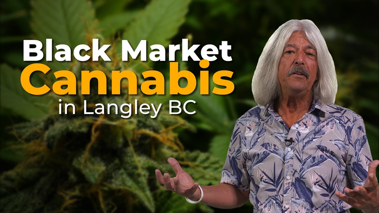 Why are there no cannabis stores in Langley British Columbia?