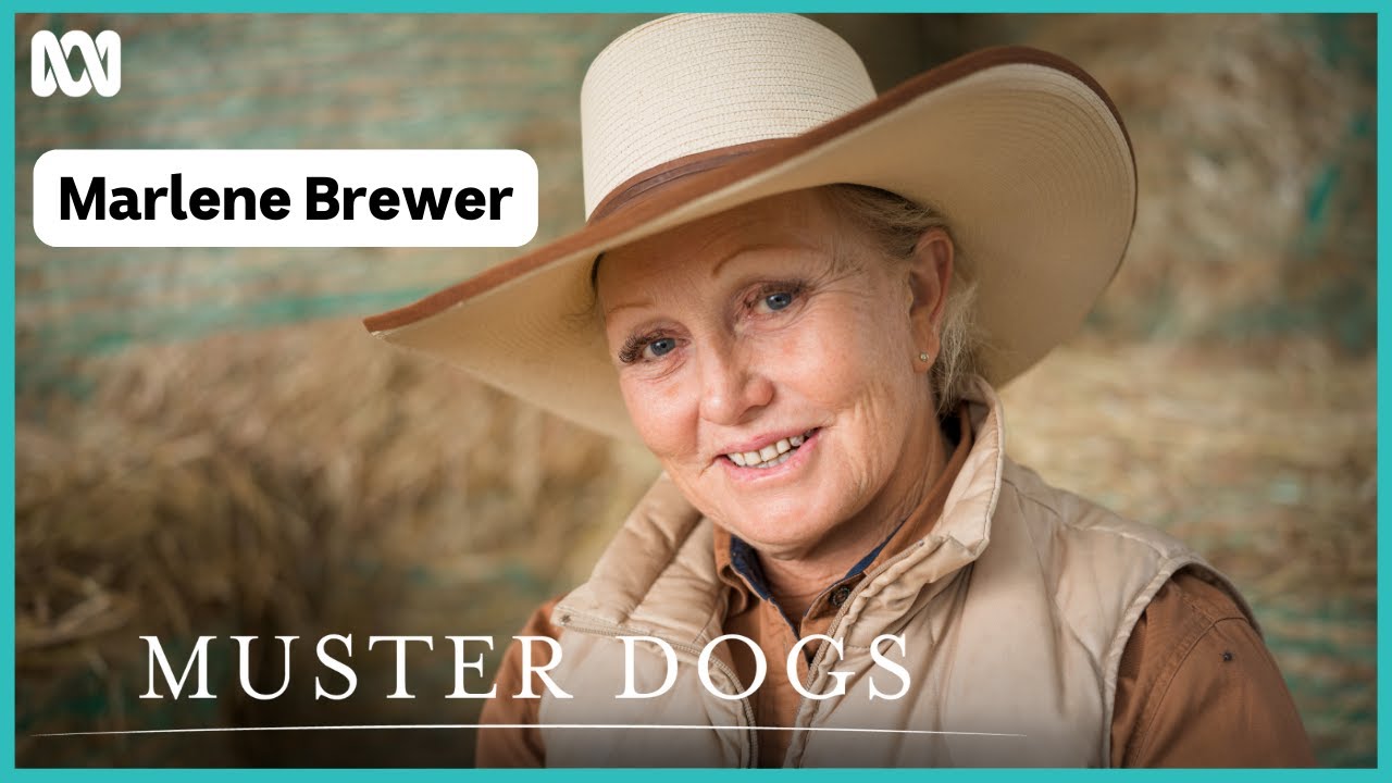 Meet Marlene Brewer | Muster Dogs: Collies & Kelpies | ABC iview