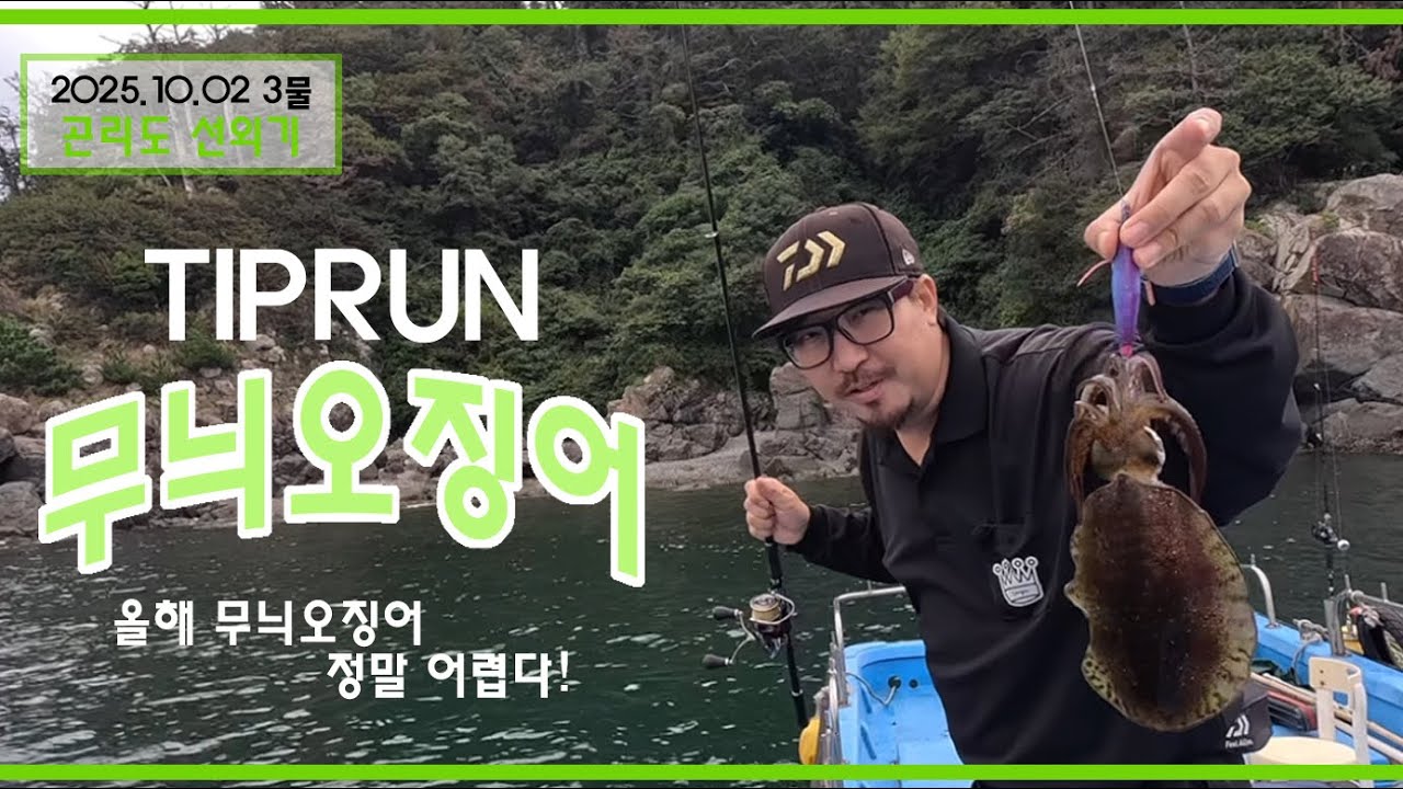 올해 무늬오징어 정말 어렵네요~ 이삭줍기 이젠 갑오징어까지 나오는 곤리도!