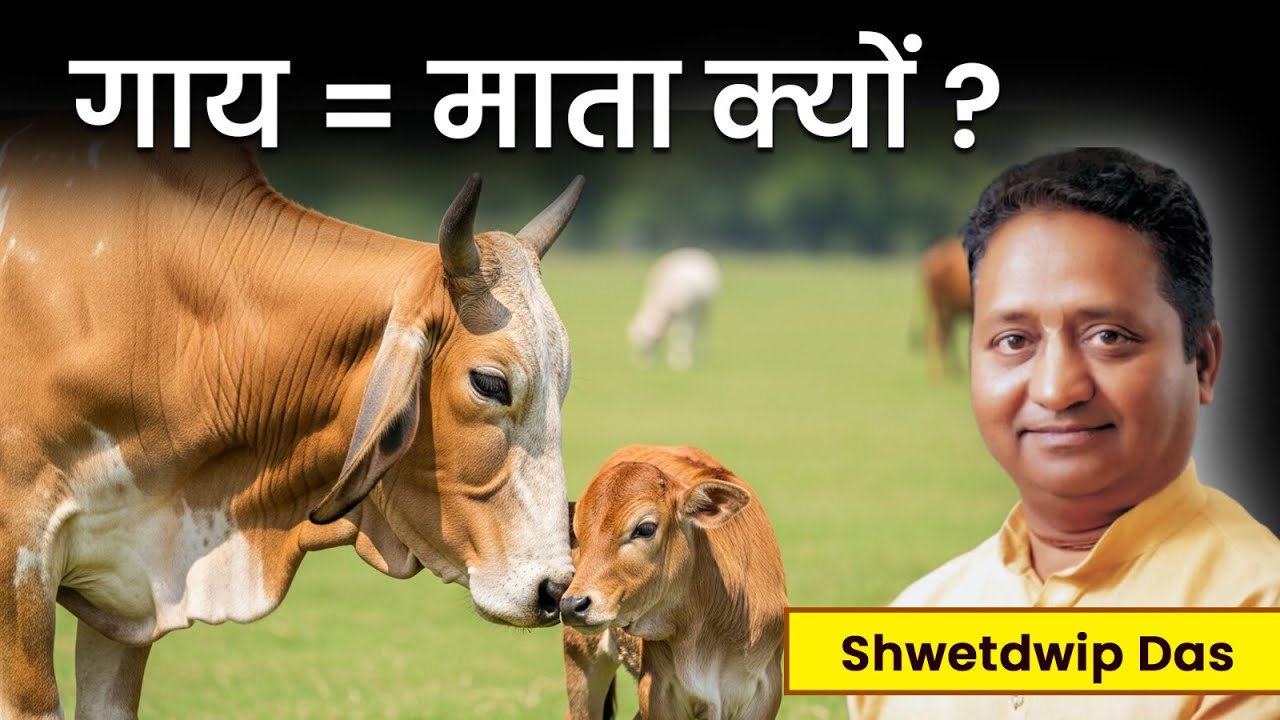 🔴 गाय को माता क्यों कहा जाता है? 🤔 यह कारण 99% लोग नहीं जानते! | Shwetdwip Das (Shri Sanjay Bhosale)
