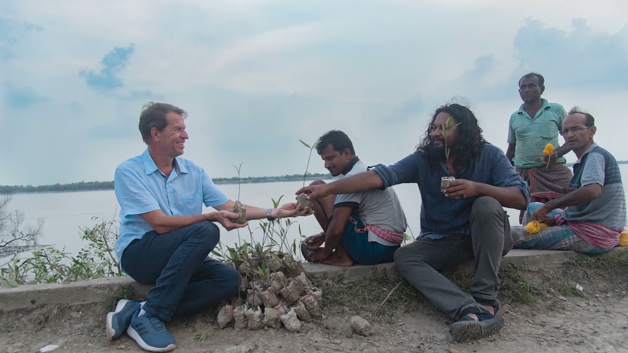 Mangrove Plantation Project