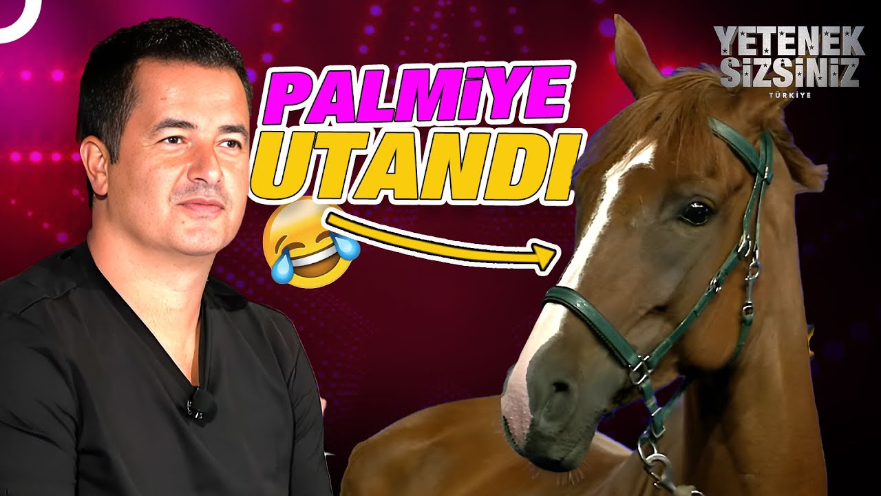 Yetenekli At Palmiye Performansıyla Hayran Bıraktı | Yetenek Sizsiniz Türkiye